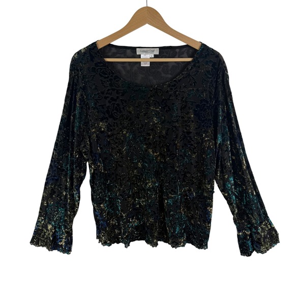 Coldwater Creek Tops - Coldwater Creek Velvet Burnout Floral Blouse Size‎ 1X Whimsigoth Artsy Sheer